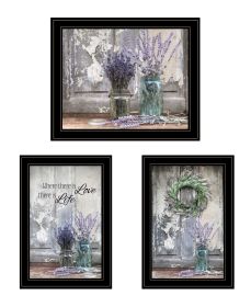 "Abundance of Beauty Collection" 3-Piece Vignette By Lori Deiter, Ready to Hang Framed Print, Black Frame