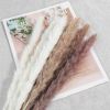 Dried Flowers Pampas Grass Mixed Bunny Rabbit Tail Lagurus Bouquet Wedding Christmas Decoration Natural Reed Flower Home Decora