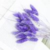 Dried Flowers Pampas Grass Mixed Bunny Rabbit Tail Lagurus Bouquet Wedding Christmas Decoration Natural Reed Flower Home Decora