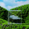 Moon; Cloud; 3D Cube Engraved Crystal Craft Ornaments; Desktop Bedroom Decorations; Creative Birthday Gifts