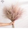 Dried Flowers Pampas Grass Mixed Bunny Rabbit Tail Lagurus Bouquet Wedding Christmas Decoration Natural Reed Flower Home Decora